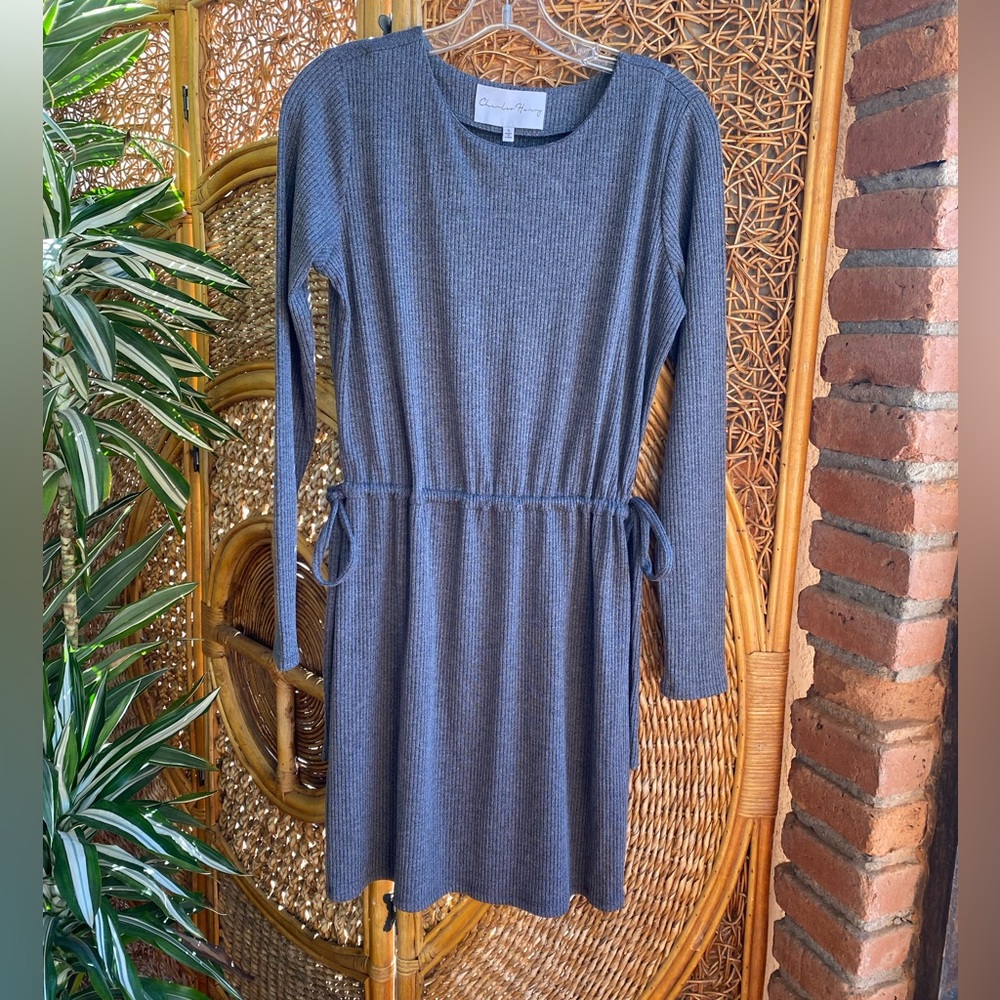 Charles Henry Charcoal Long Sleeve Dress Cinched Waist Size S Great Condition